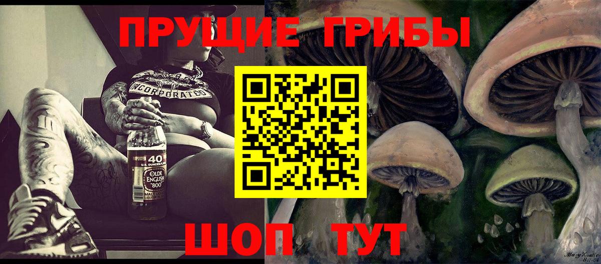 где купить наркоту  Псилоцибиновые грибы Cubensis  Вход с VPN  Реутов 